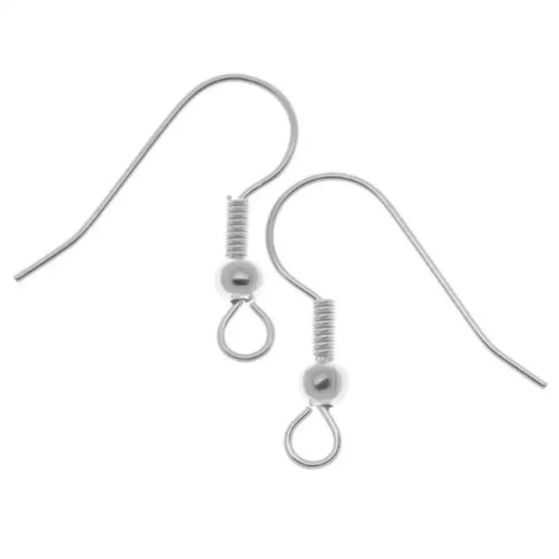 

SUSENSTONE 100 Piece Steel Earring Hooks Hypo-Allergenic