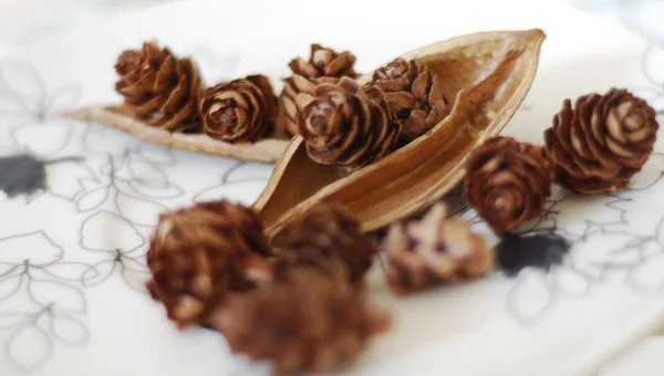100pcs/lot Mini Small Natural Pine Cones Dried Flowers for Christmas Decoration or Crafting