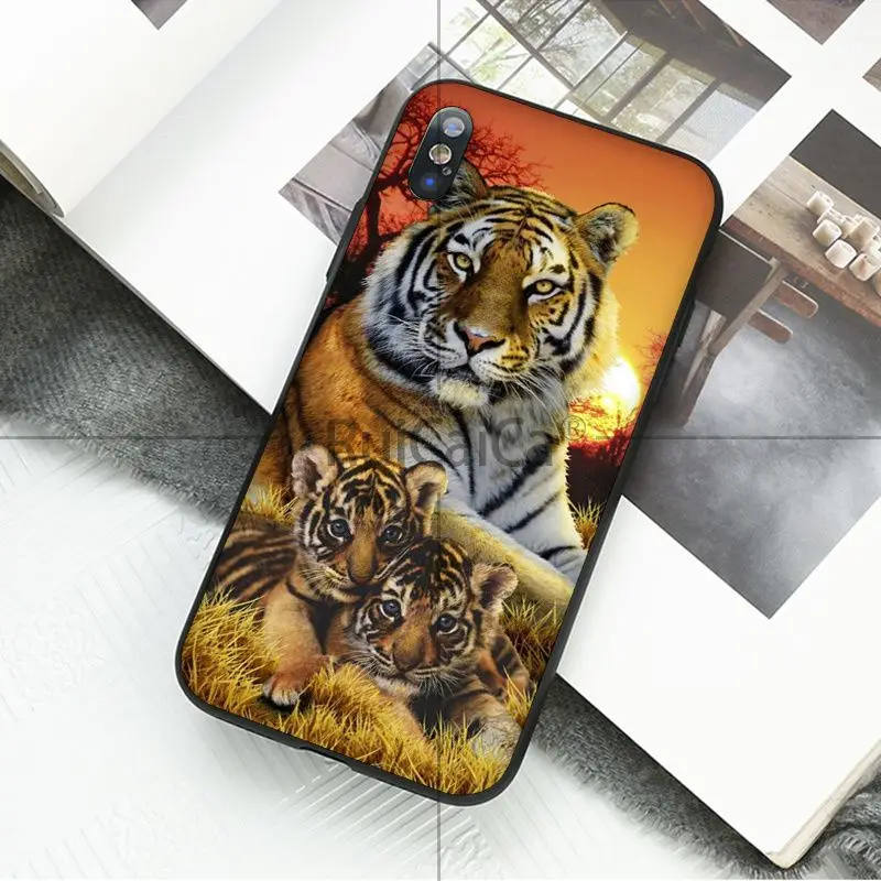 animal tiger