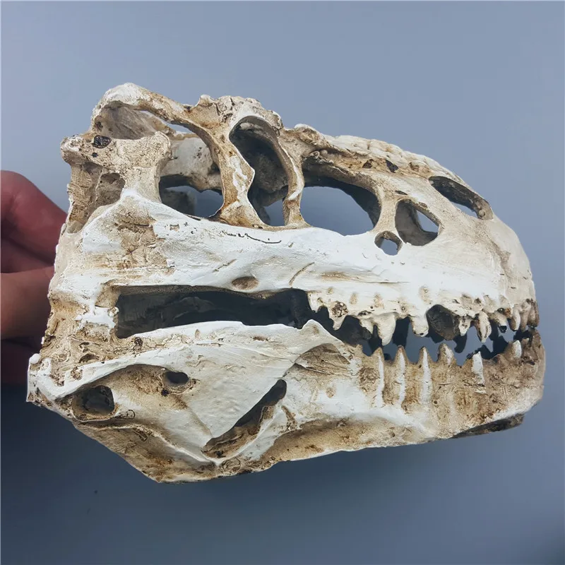 MRZOOT Смола скелет динозавра Модель Tyrannosaurus череп животных Исследование Обучение коллекция ремесла Творческий дом Декор