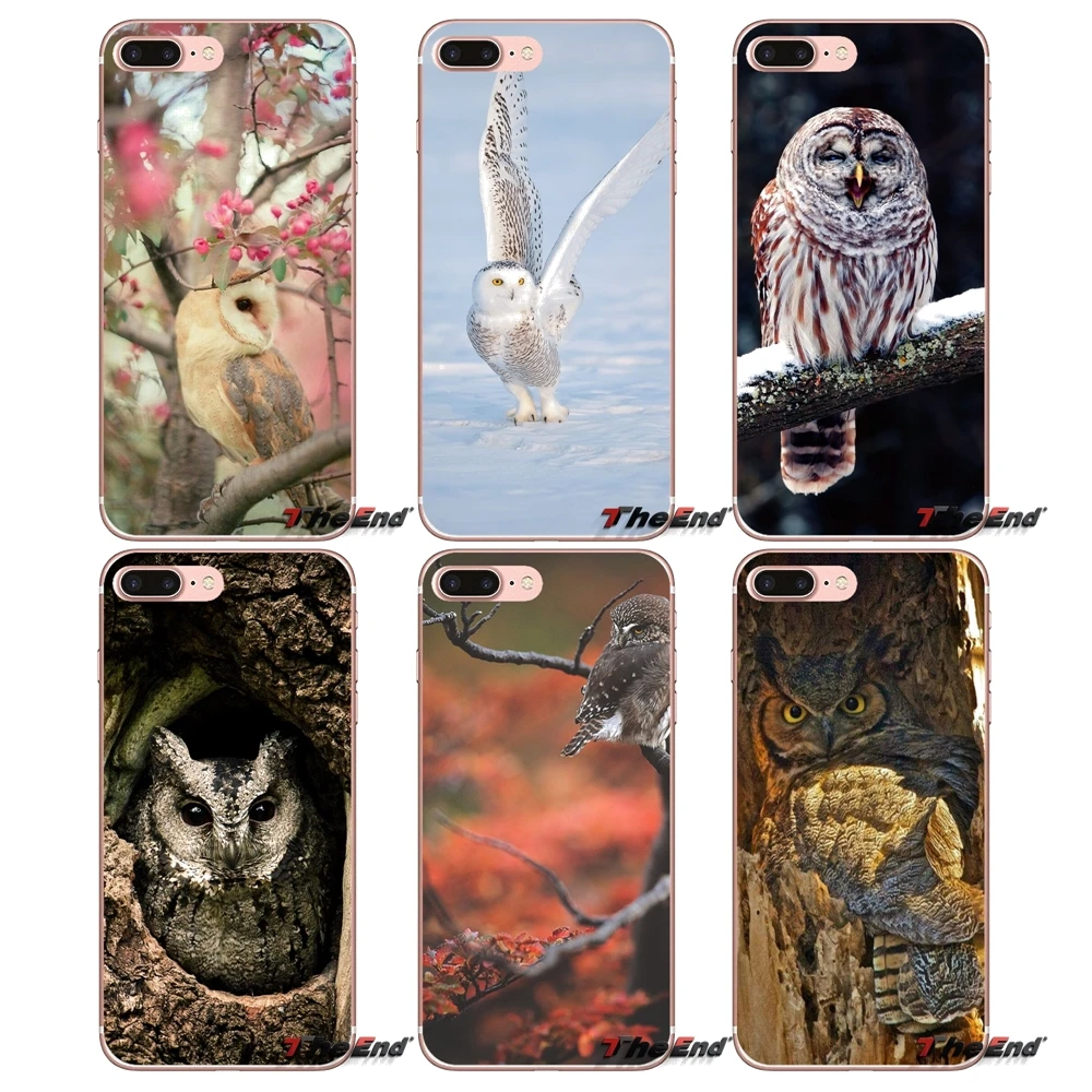 Cool birds owl Trees Soft TPU Phone Case For iPhone X 4 4S 5 5S 5C SE 6 6S 7 8 Plus Samsung Galaxy J1 J3 J5 J7 A3 A5 2016 2017 | Мобильные