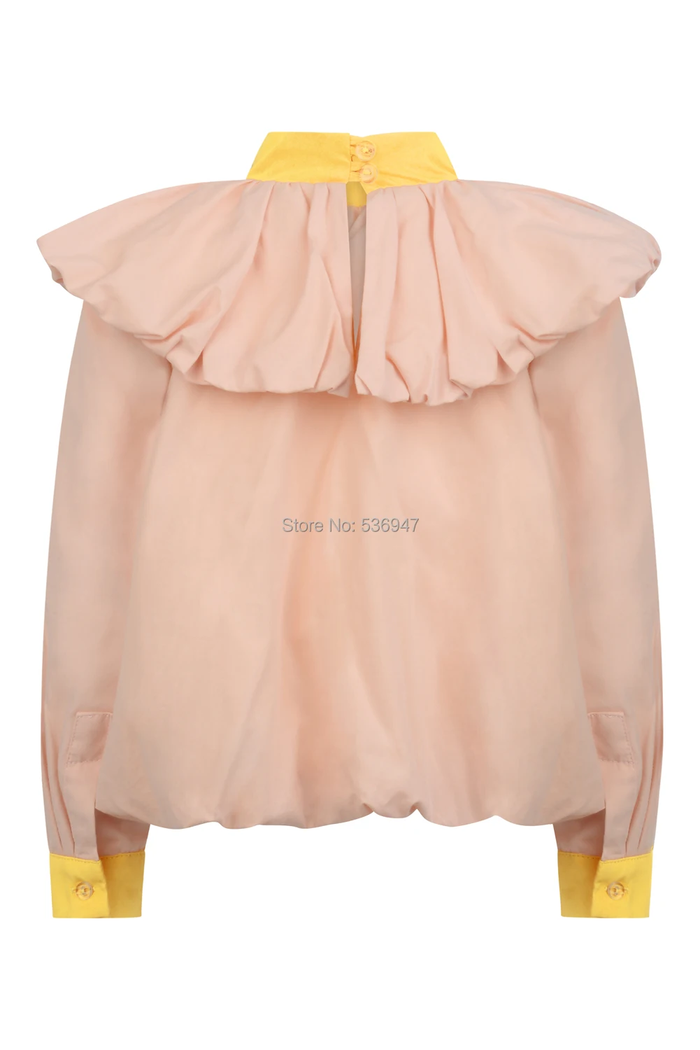 T2BL-AW18-back