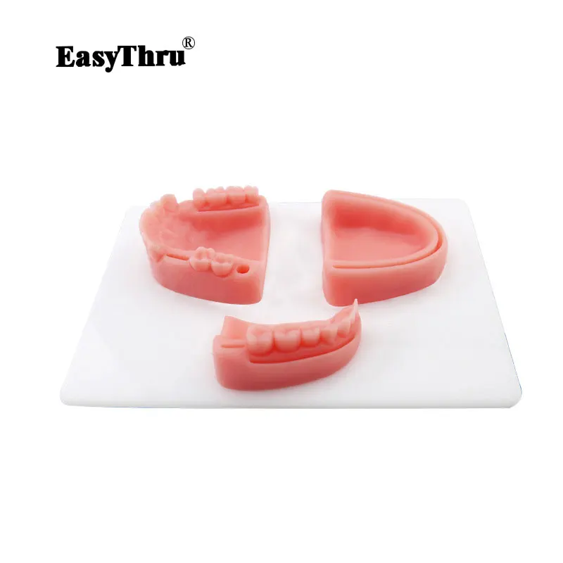 

Anatomy Oral Dental Suture Training Module Gingival Suture Training Periodontitis Suture Training Dentists Recommend