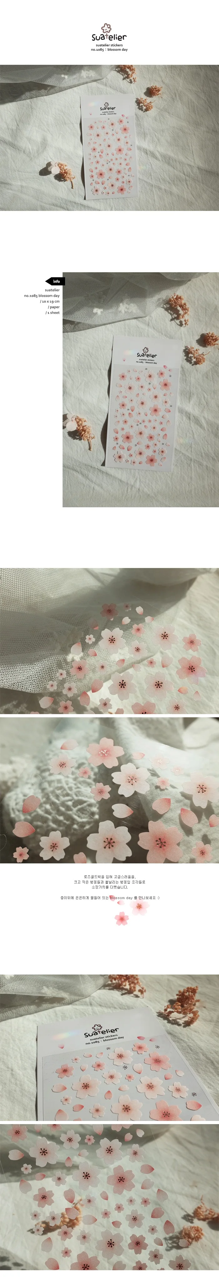 O1CN01jtbF0m1S911ScRDfT_!!67892203