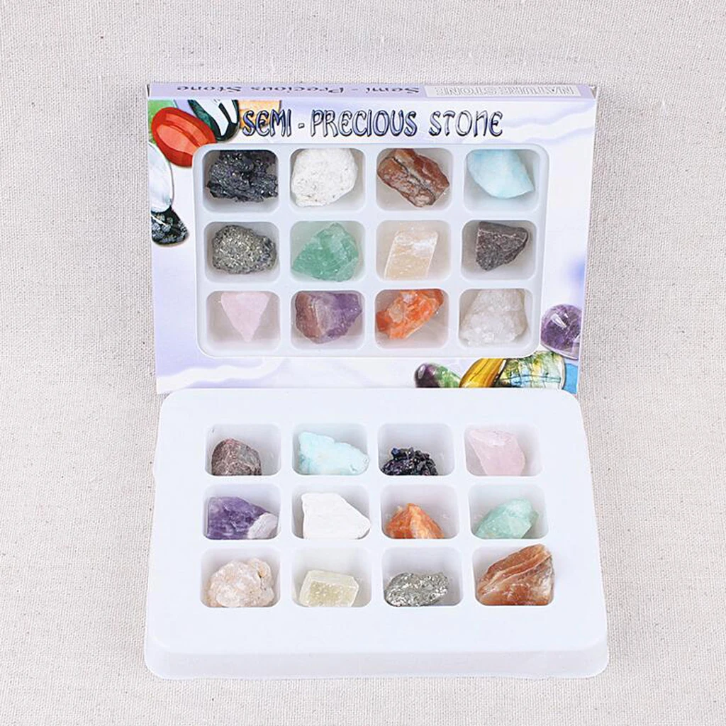 Rock and Mineral Collection PK546-5 Geology Science Kit Earth Science Toys