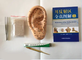 

ear acupoint massage learning set Aurora entry-level equipment ear probe ear reflex zone book Auricular seeds sticker with video