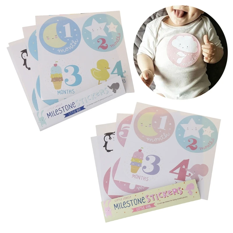 

Month 1-12 Milestone Stickers Baby Monthly Photograph Stickers -m18