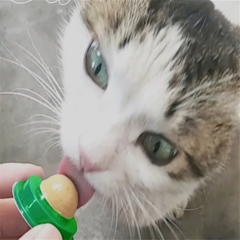 

ZHPZPET Catnip Ball Candy Licking Solid Nutrition Gel Energy Ball for Cats Increase Drinking Water Help Digestion