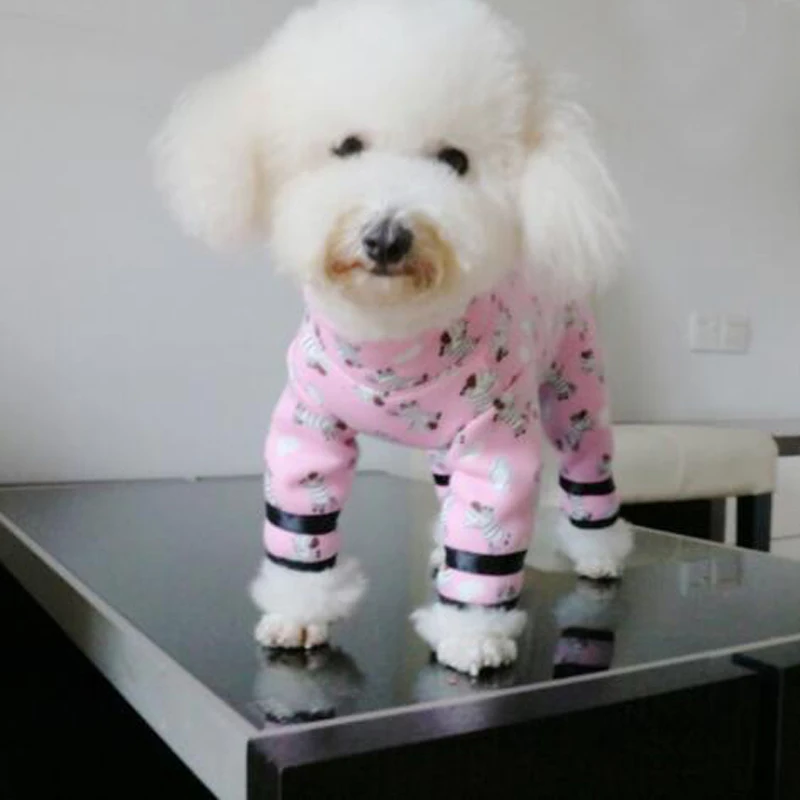 HTB1yYJ_XiLxK1Rjy0Ffq6zYdVXak