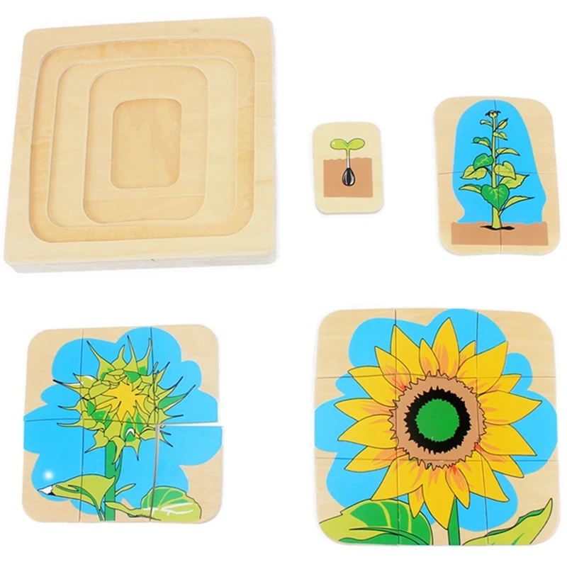  Children'S Multi-Layer Puzzle Wooden Toy Sunflower Puzzle Life Cycle Toys Kindergarten Teaching Aid - 33041028916