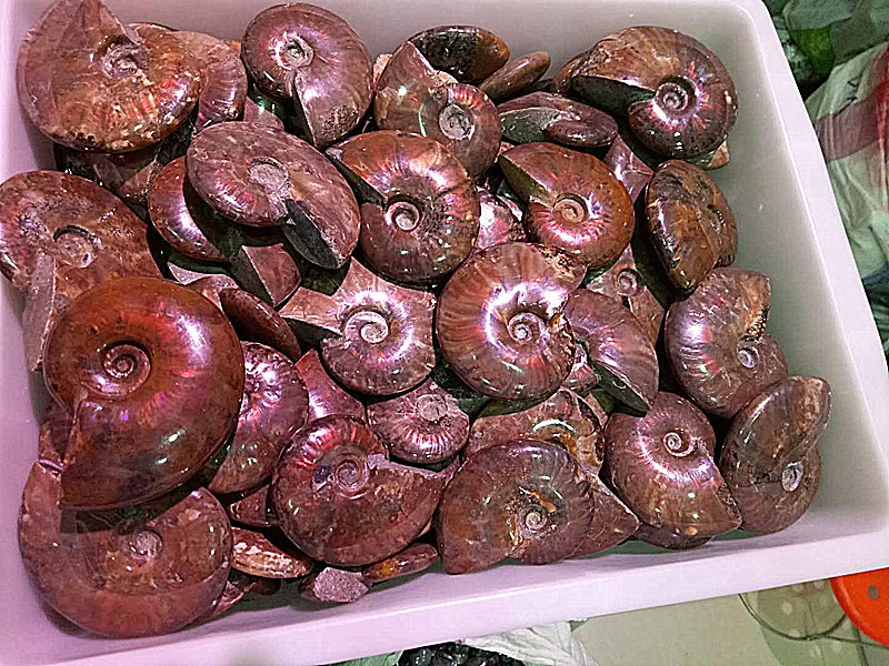 _20180826223809_