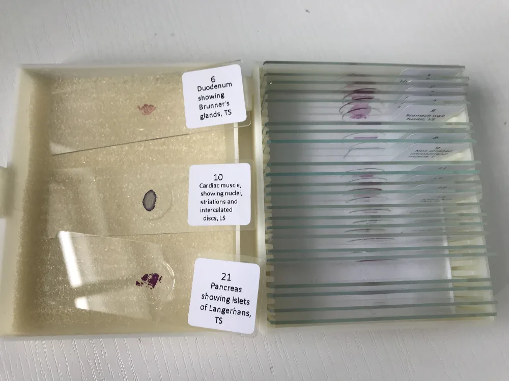 histology prepared slides (1)