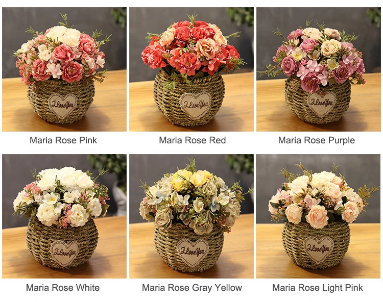 17 Maria Rose Color