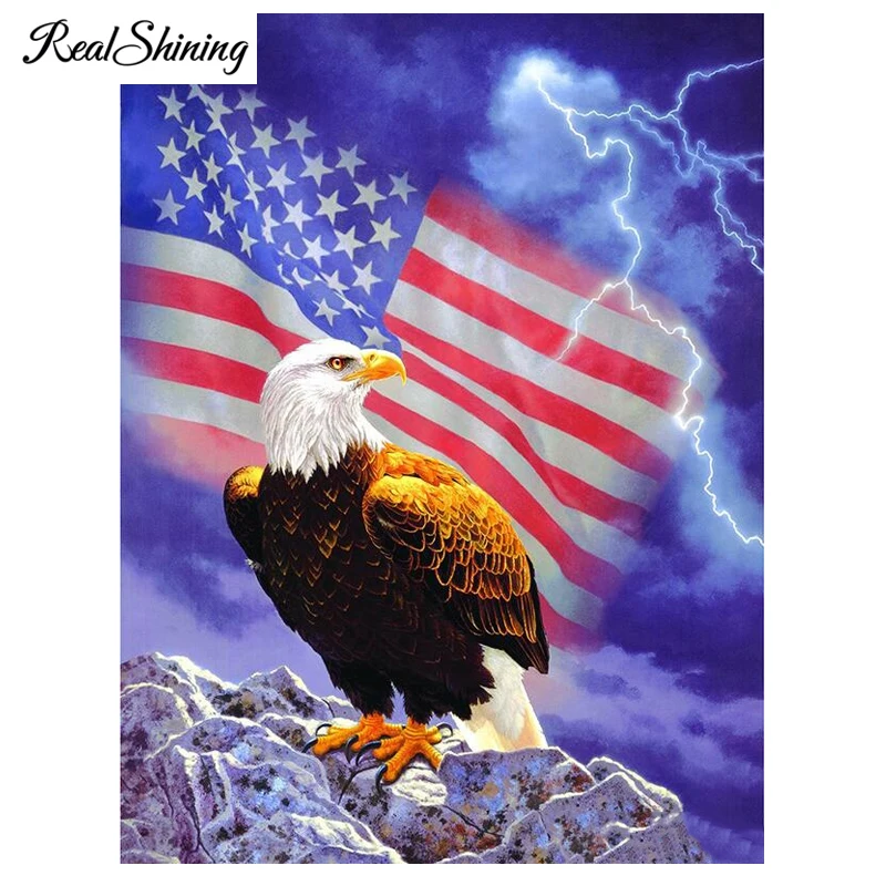 REALSHINING 5d Diy Diamond Painting American Flag Eagles Lightning