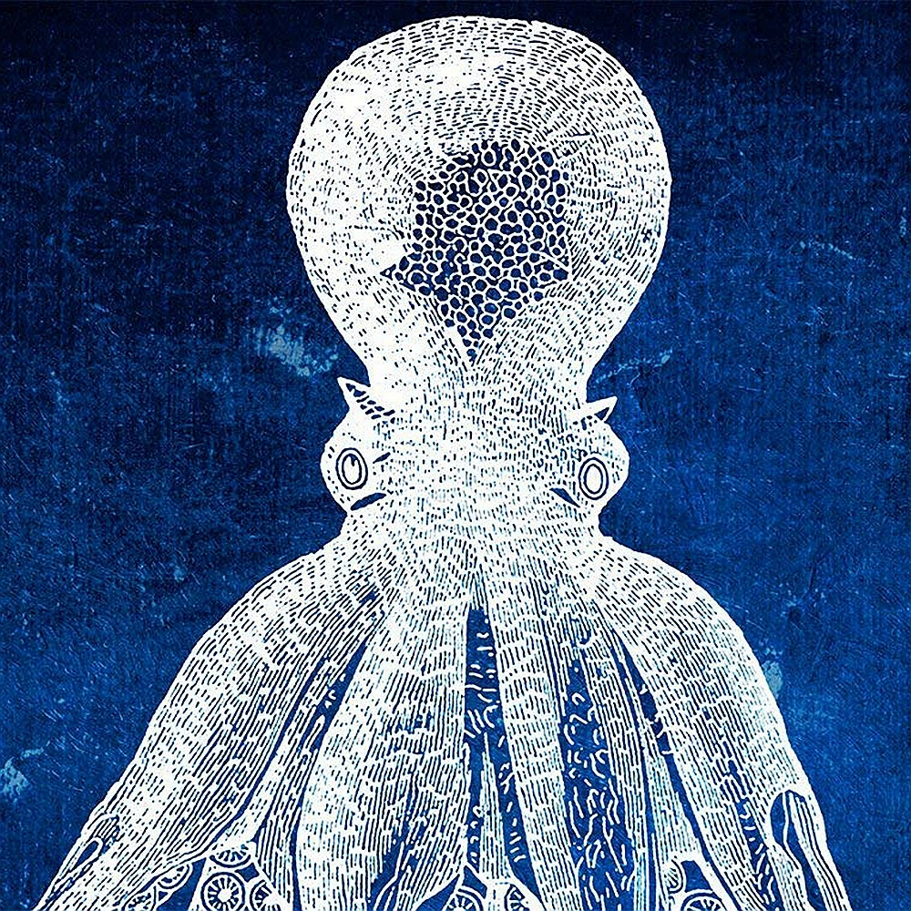 Günstige Reine Farbe Octopus Leinwand Wand Kunst Druck Tiere Malerei für Büro Zimmer Wand Kunst Retro Tintenfisch Tintenfisch Marine Leben Zu Hause decor