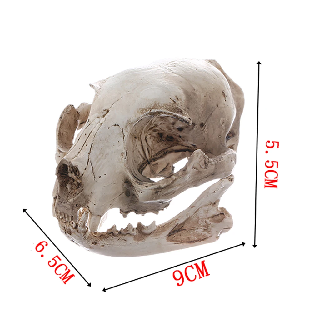 Resin Cat Skull Bone Statue Figurine Model Aquarium Fish Tank Ornament Decor