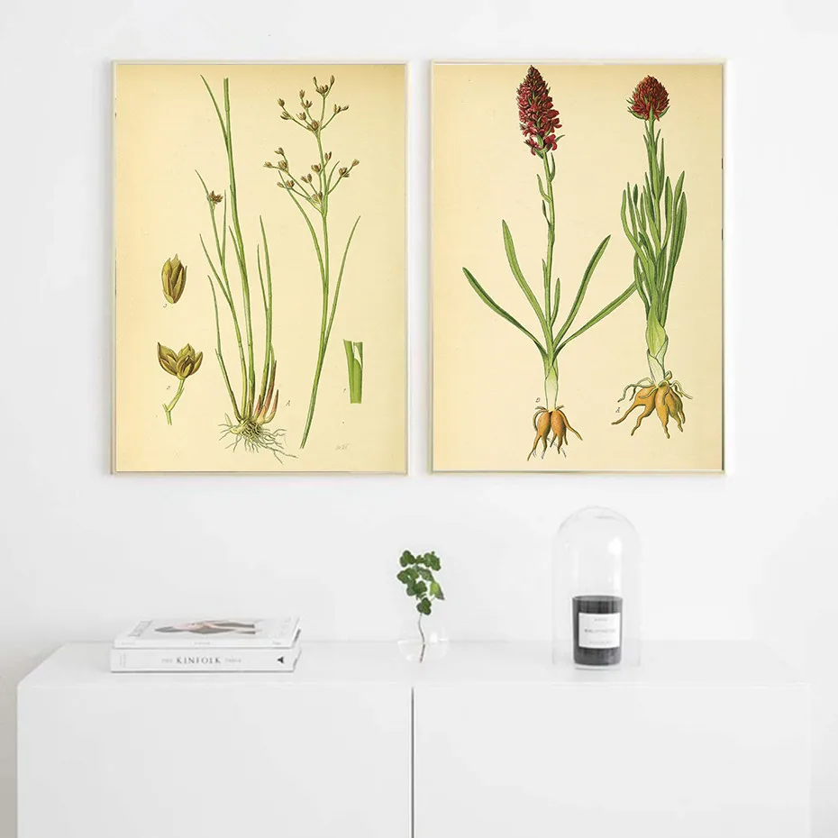 Modern-wall-art-picture-canvas-poster-and-print-Vintage-Botanical-illustrations-floral-murals-living-room-decor (1)
