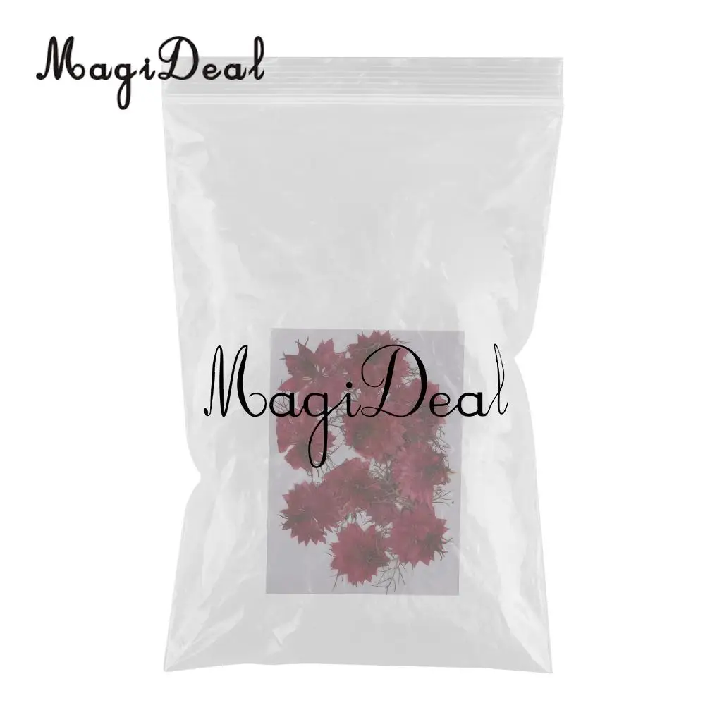 12pcs Love-in-a-mist Natural Pressed Real Dried Flower for Craft DIY Resin Ornaments