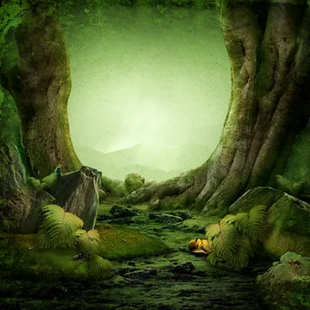 

Green Photography Backdrop Fairy Tale Photographic Background For Studio Newborn Birthday D-8775