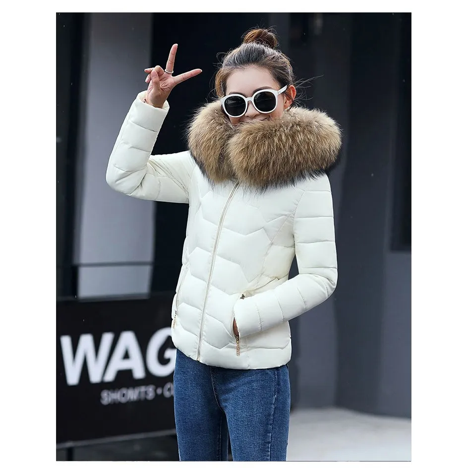 Female Warm Winter font b Jacket b font 2017 Fashion font b Women b font Hooded