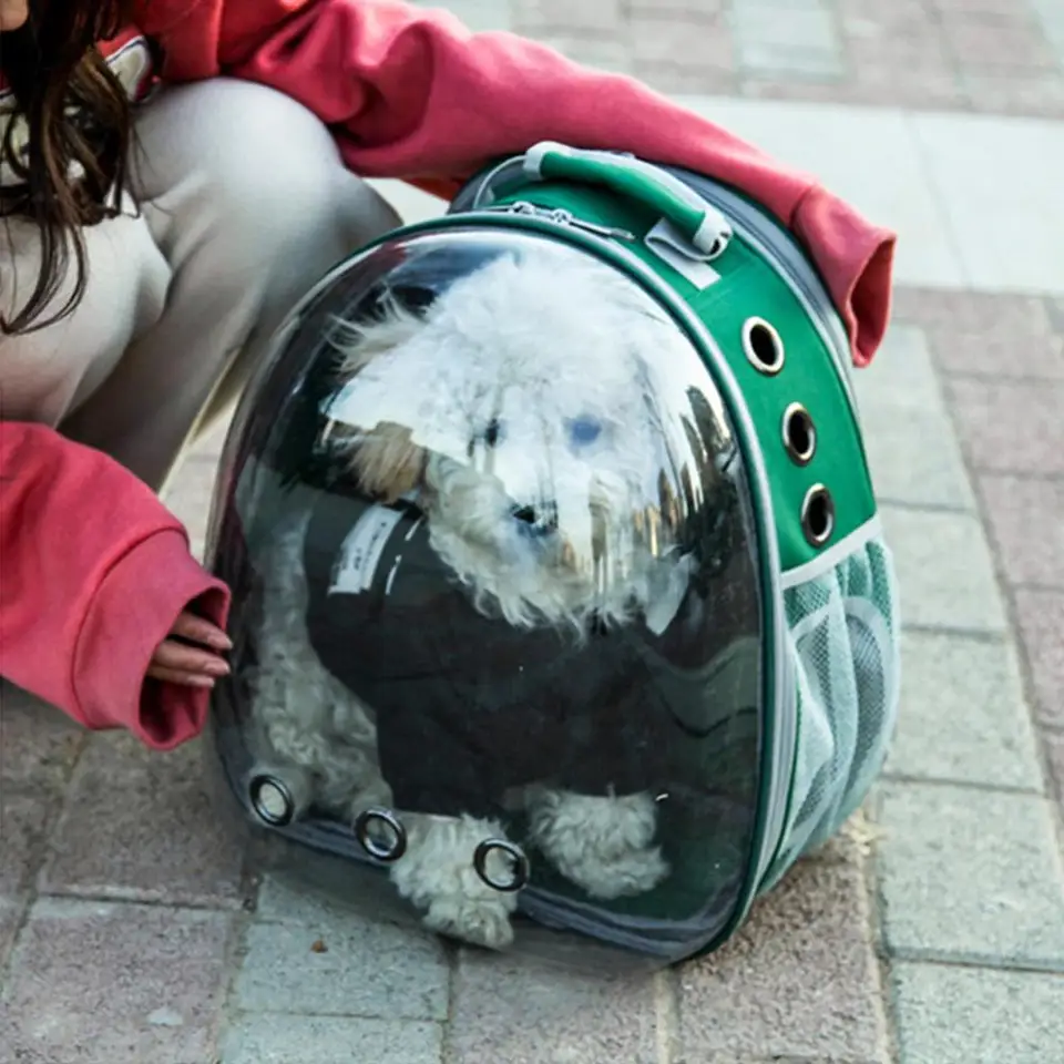 bubble dog backpack