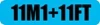 11M1