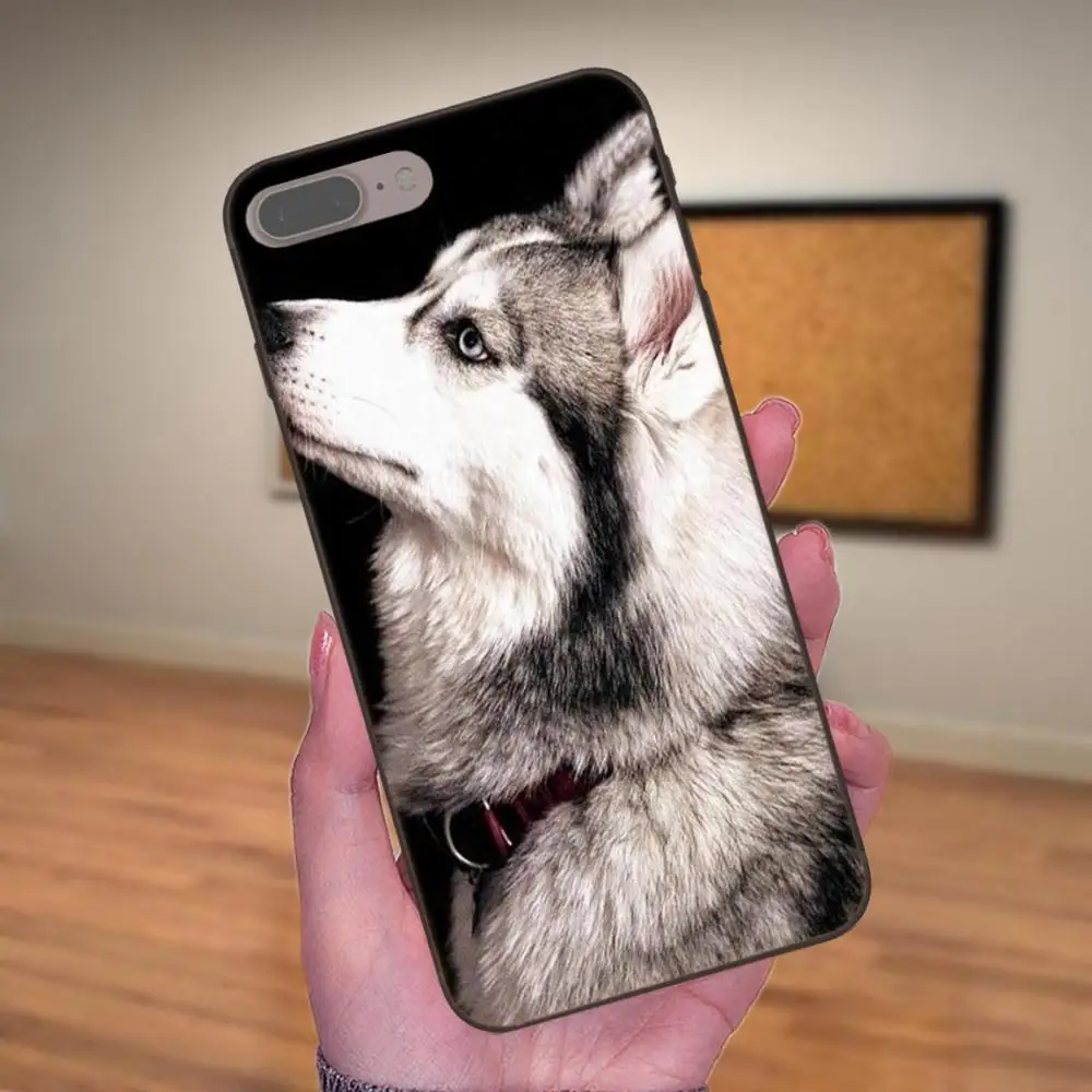 Diy рисунок ТПУ для Huawei Honor 5A 6A 6C 7A 7C 7X 8A 8C 8X 9 10 P8 P9 P10 P20 P30 Mini Lite Plus животное Хаски щенок