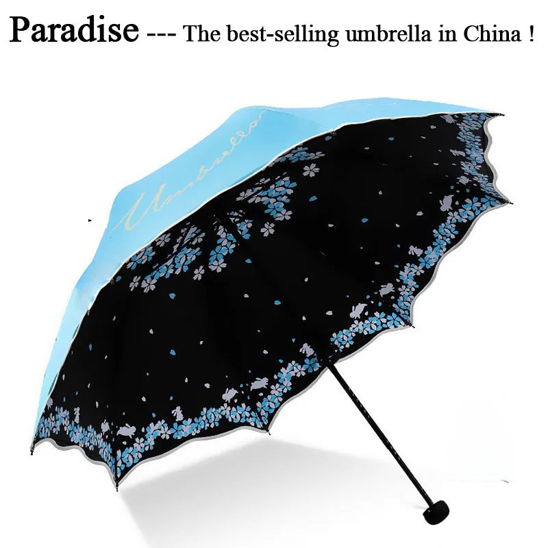 Umbrella