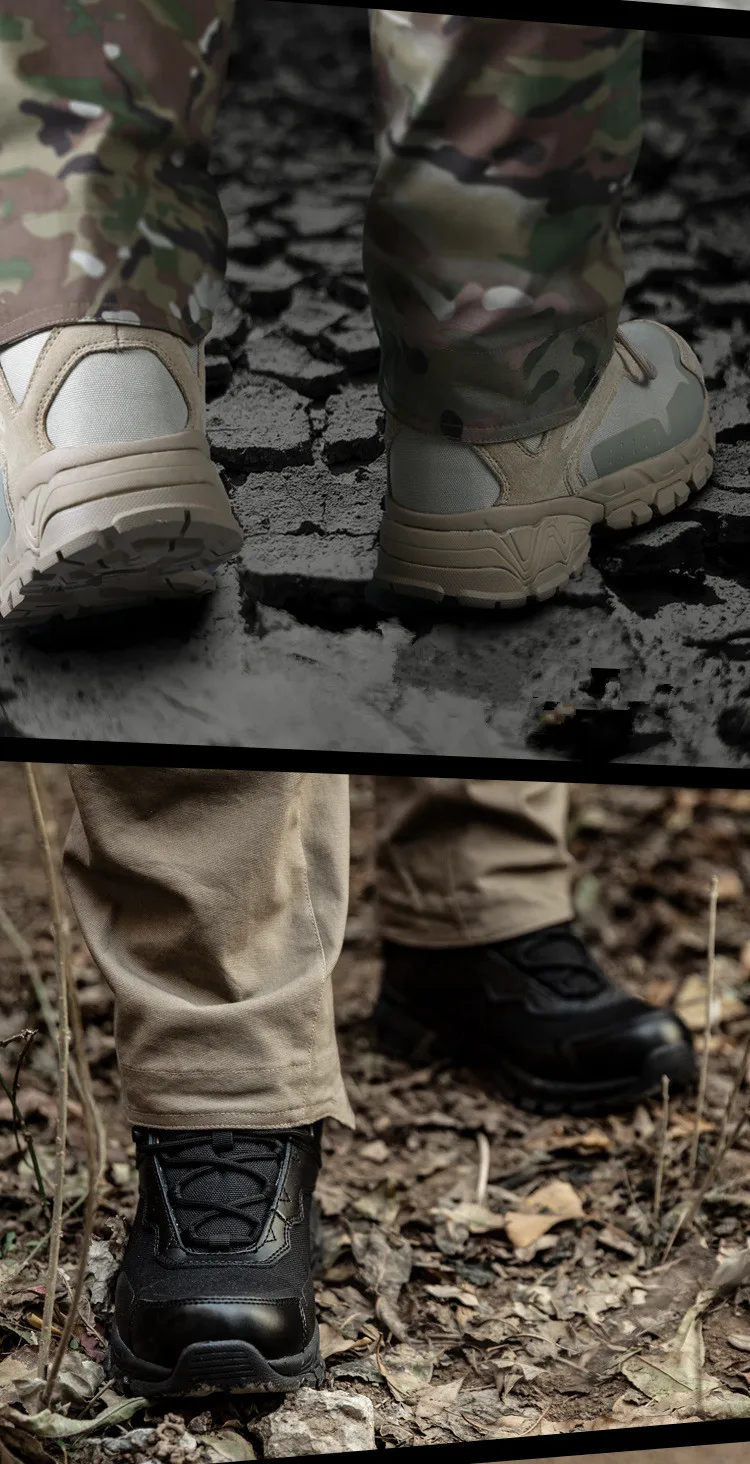 10230563566_852027043 (1)_