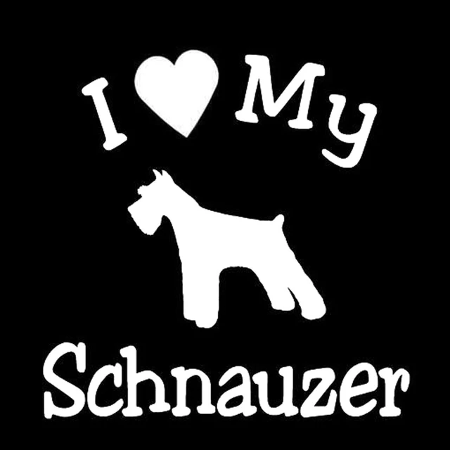 Schanzer Shop - 3D Sticker Logo