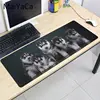 Computer Peripherals