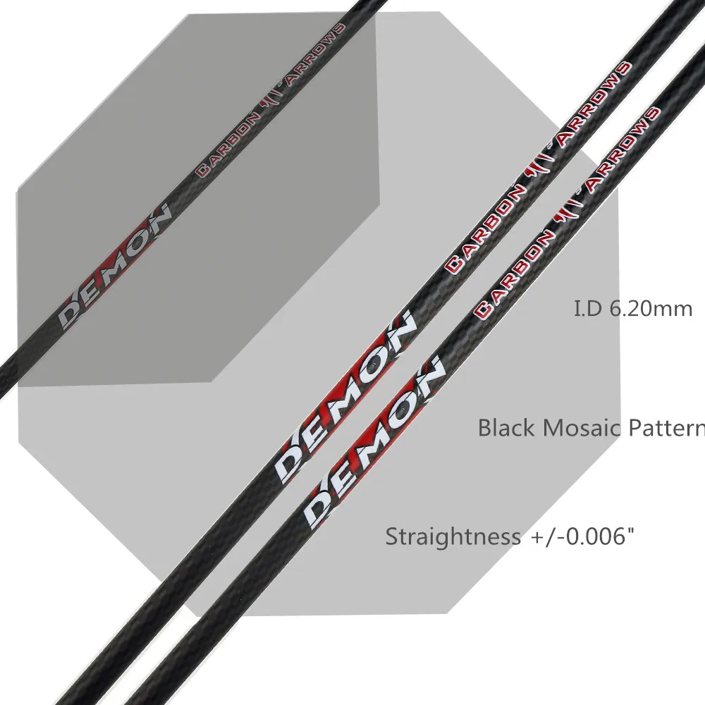 carbon arrows (5)
