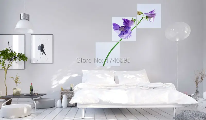 lavender phalaenopsis butterfly orchid-2