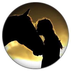 ZDYING 5 шт. круглые дикие лошади из бегущего стекла кабошон и Стекло изображение купола DIY демонстрационная плоская задняя часть - Цвет: HO13