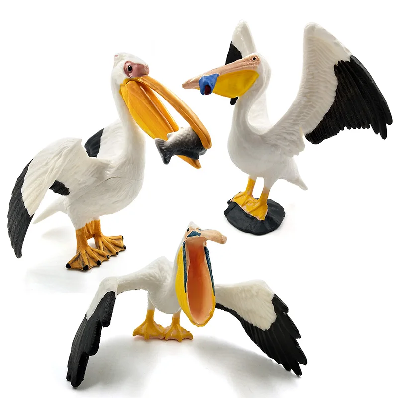 Sea Eagle Parrot Turkey Bird Action Figure Plastic Animal Model