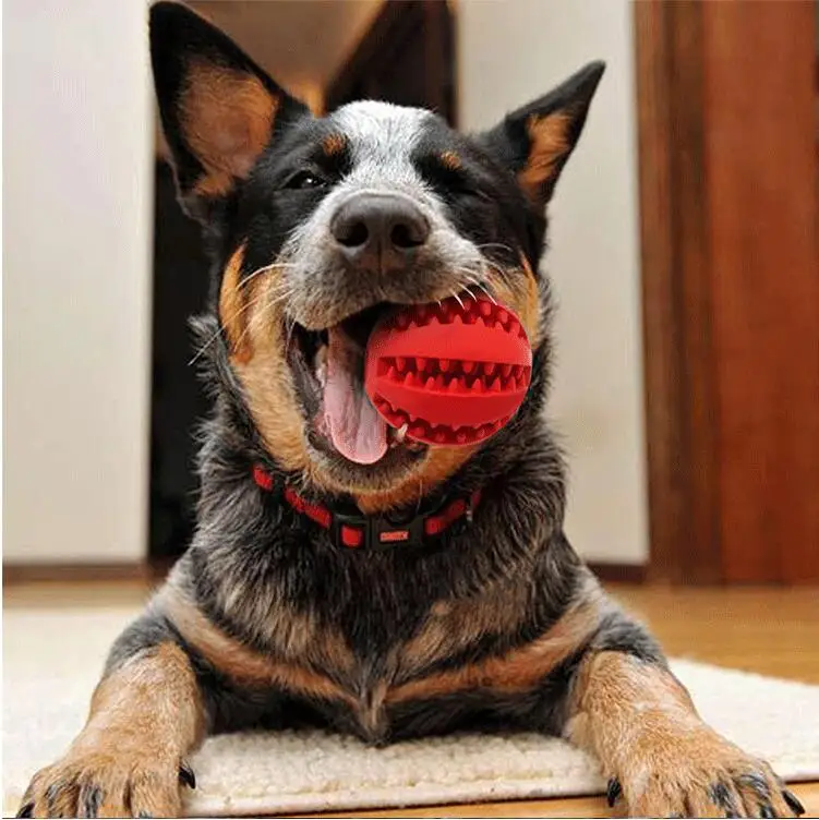 5 см игрушки для домашних собак Экстра-жесткий резиновый мяч игрушка забавный интерактивный эластичный шарик собака жевательные игрушки для собаки зуб чистый шар еды AA