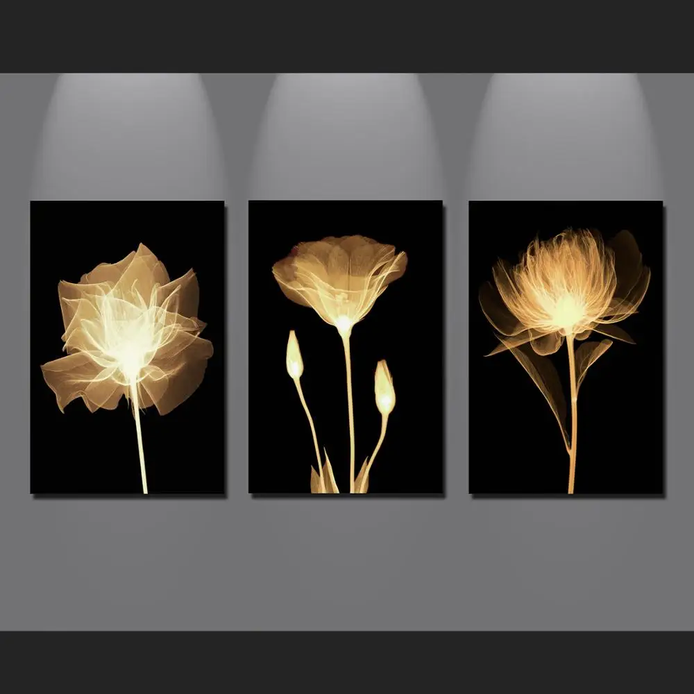 3 panel Home Decor Black background flower Painting Printed Painting On