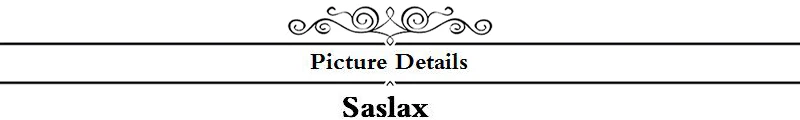 picture details