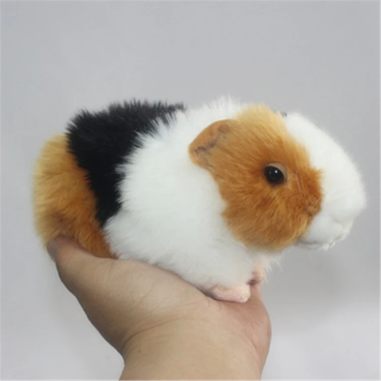 geleider toxiciteit Doorbraak Stuffed Guinea Pig Plush Toy | Guinea Pig Stuffed Animals | Guinea Pig F  Stuffed Toys - Stuffed & Plush Animals - Aliexpress