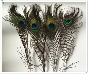 

wholesale 200pcs 10-12inch/25-30cm long Natural Peacock tail feathers peacock Feather decoration for costume/wedding/party