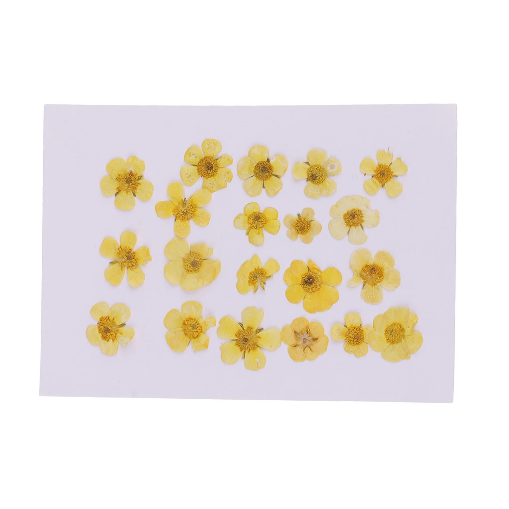 Pack of 50pcs Natural Dried Flower Real Flower Mixed For DIY Resin Ornament Craft Card Making Scrapbooking Embellishments