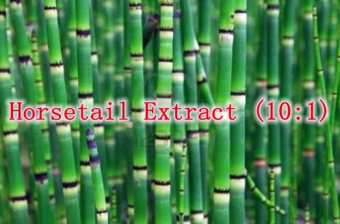 

Supplements Horsetail Extract (10:1) 500mg x 500capsule eating food products free shipping