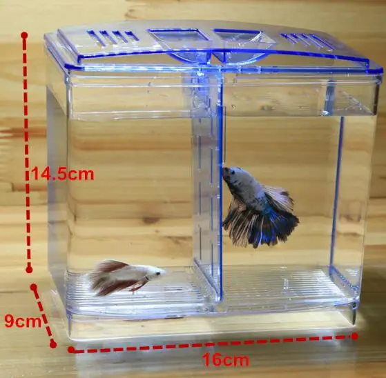 Новые 2 комнаты Betta рыбоводство коробки двойные Гуппи инкубационная изоляция инкубатора Акриловые Мини аквариумные танки прочный AT004 - Цвет: 2 rooms