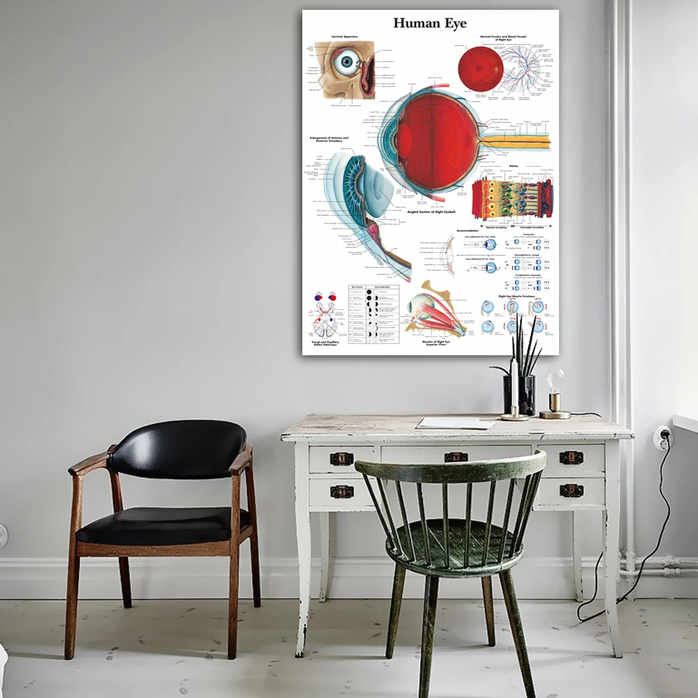 Online WANGART Anatomischen Funktion Menschliche Auge Diagramm Kunst Poster Drucken Körper Karte Leinwand Wand Bilder für Medizinische Bildung Wohnkultur