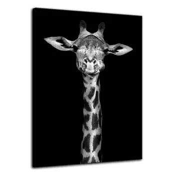 

Graffiti Horse Wall Art of Animal Prints on Canvas Black and White Pictures for Living Room Decor Wall Artwork HD Prints For Hom