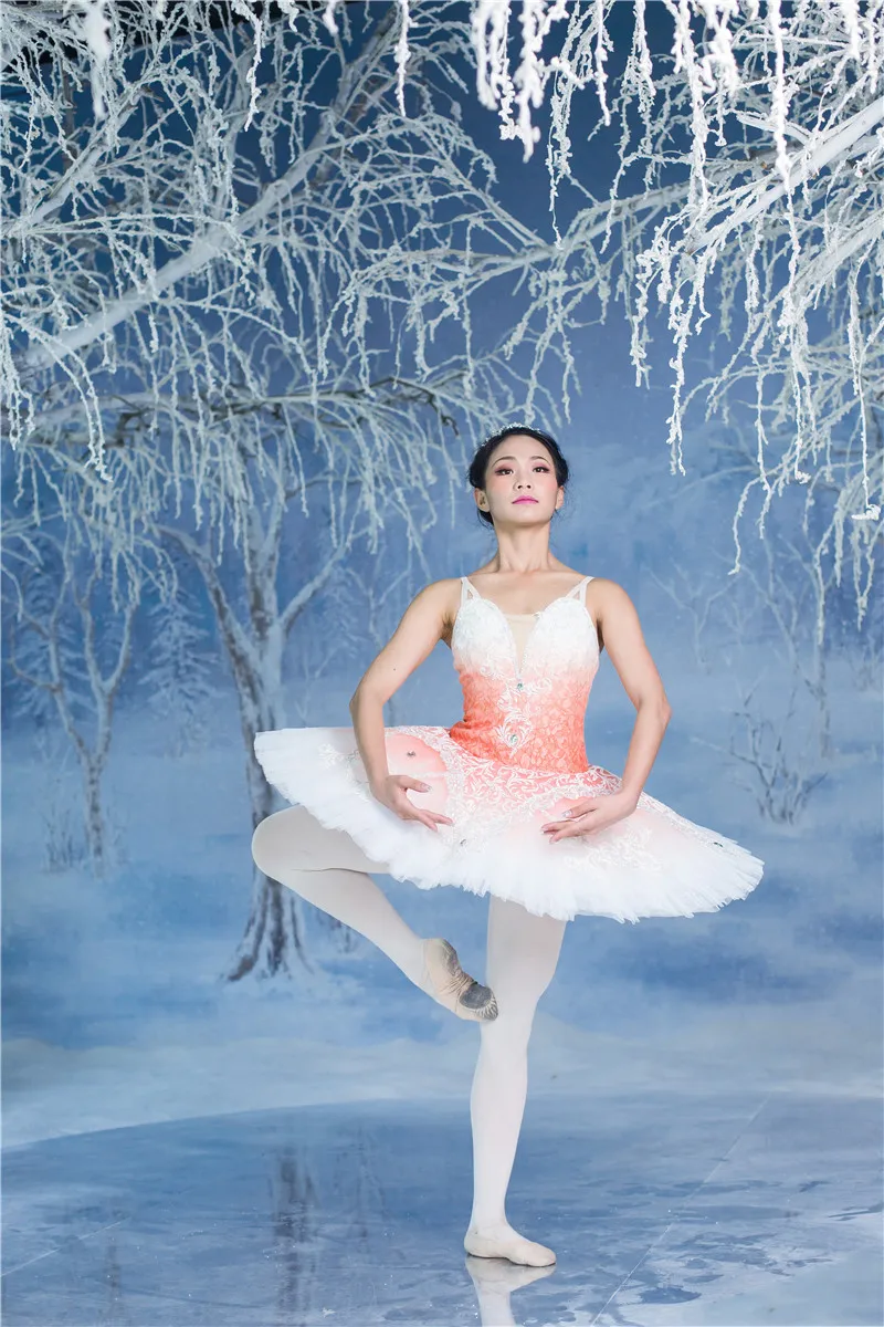 Us 412 0 Professional Ballet Tutu Pancake Tutu Classical Ballet Ballerina Pink Fairy In Sleeping Beauty For Sugar Plum Fairy Coppelia Ballet