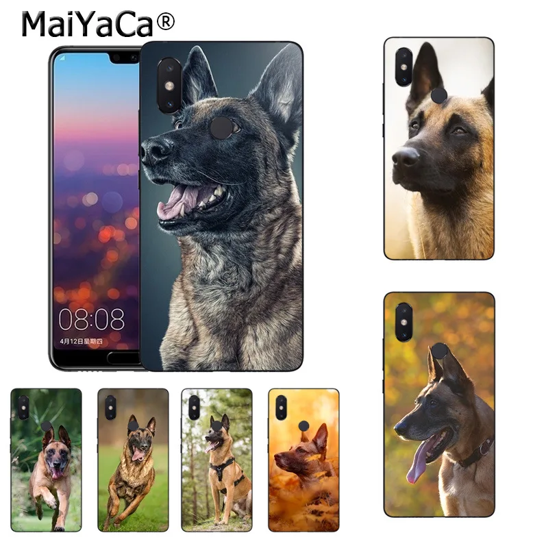 belgian malinois accessories