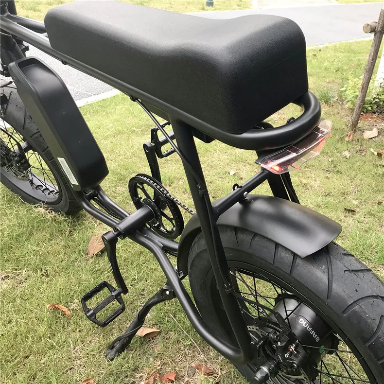 20 inch Halley Fat Tire Electric Bike-9