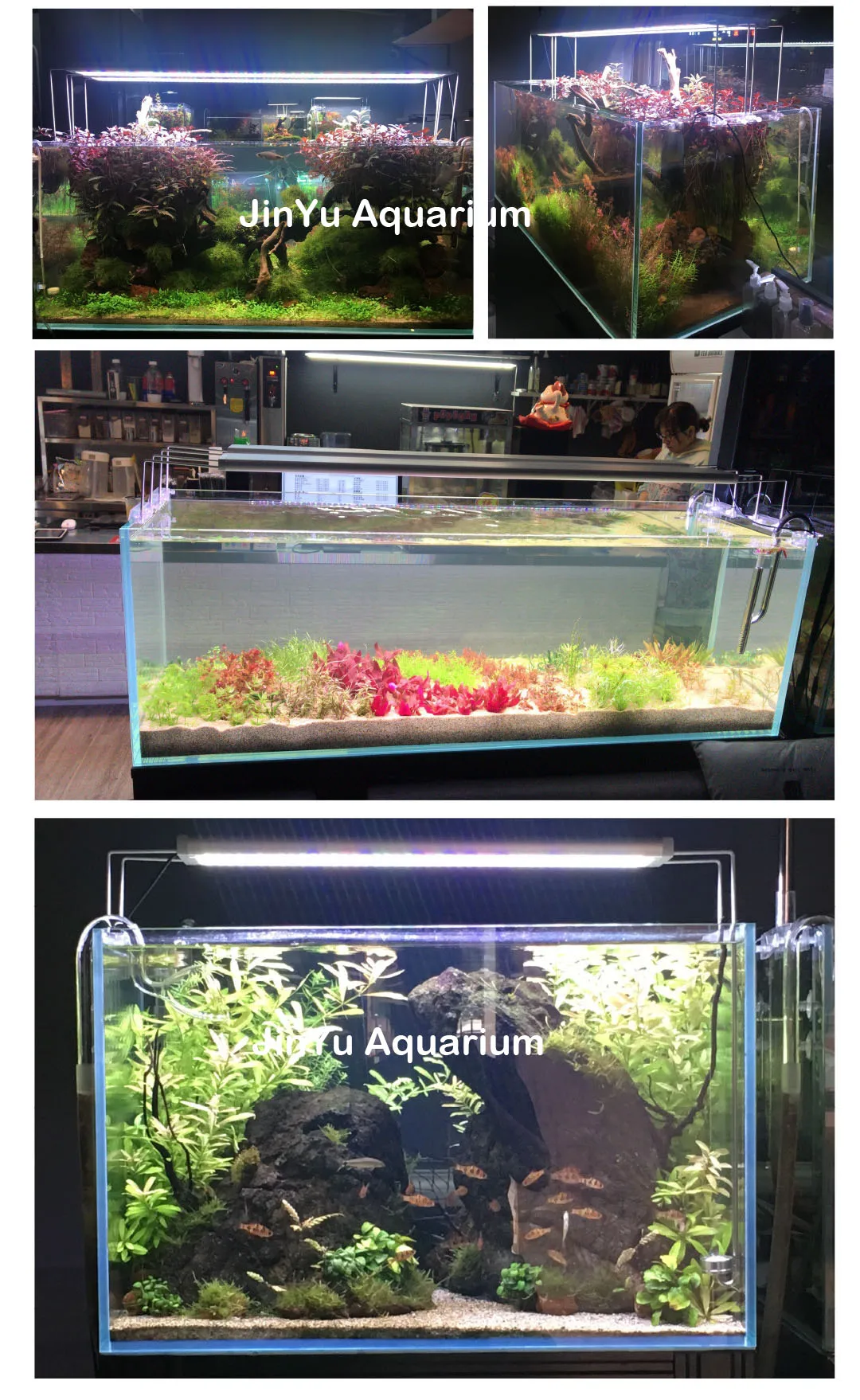 Светодиодный светильник серии WRGB aqua rium Aqua nice растение для выращивания воды