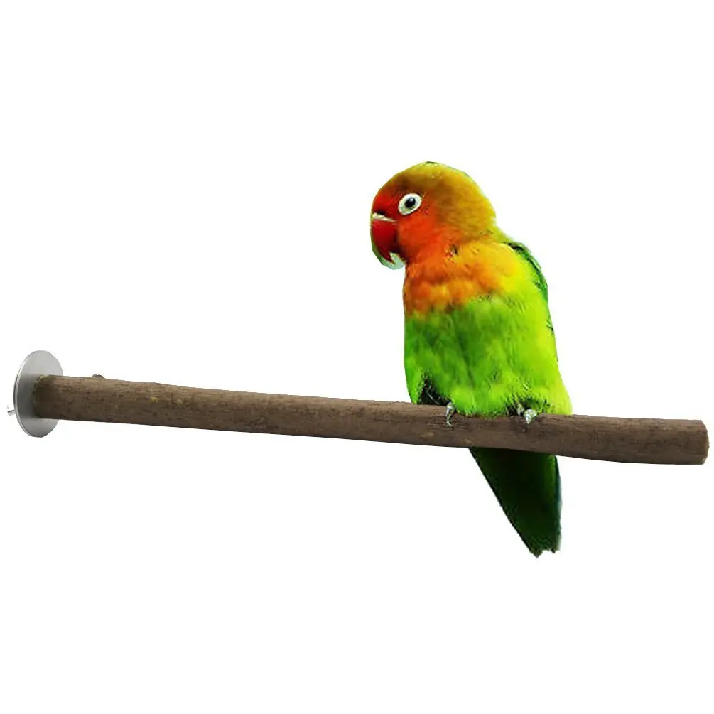 Pet Products Bird Supplies Training Behaviour Aids Parrots Birdcage Birdsticks Grips Paws Logs